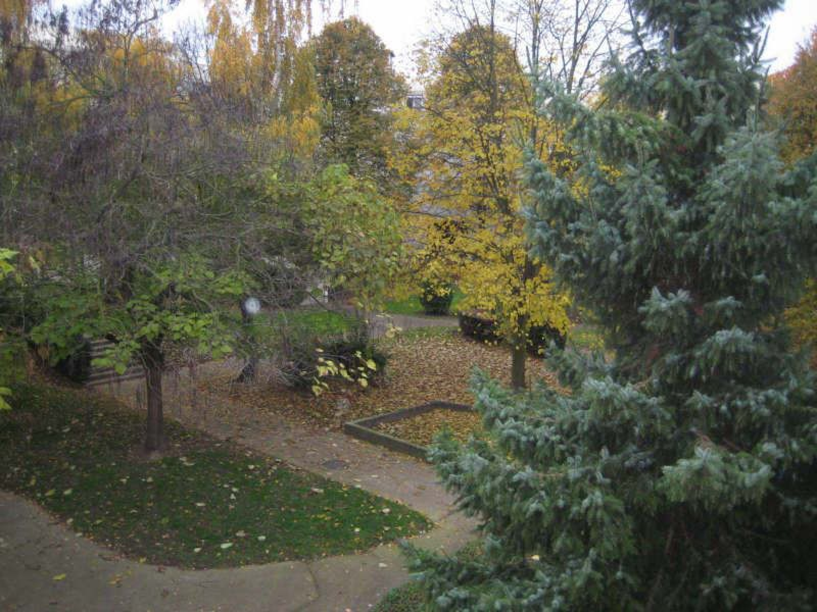 Image_2, Appartement, Courcouronnes, ref :01544