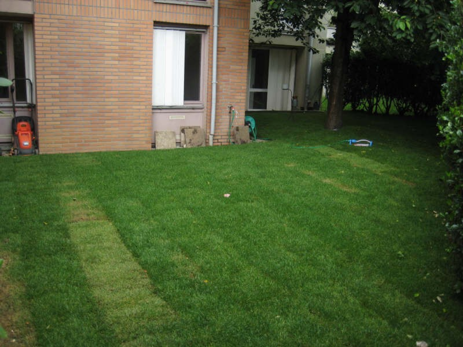 Image_1, Appartement, Évry, ref :01312