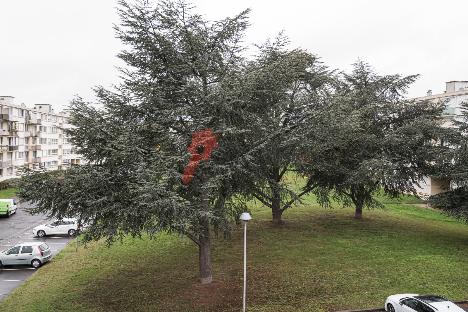 Image_8, Appartement, Saint-Michel-sur-Orge, ref :BHVAP20004285