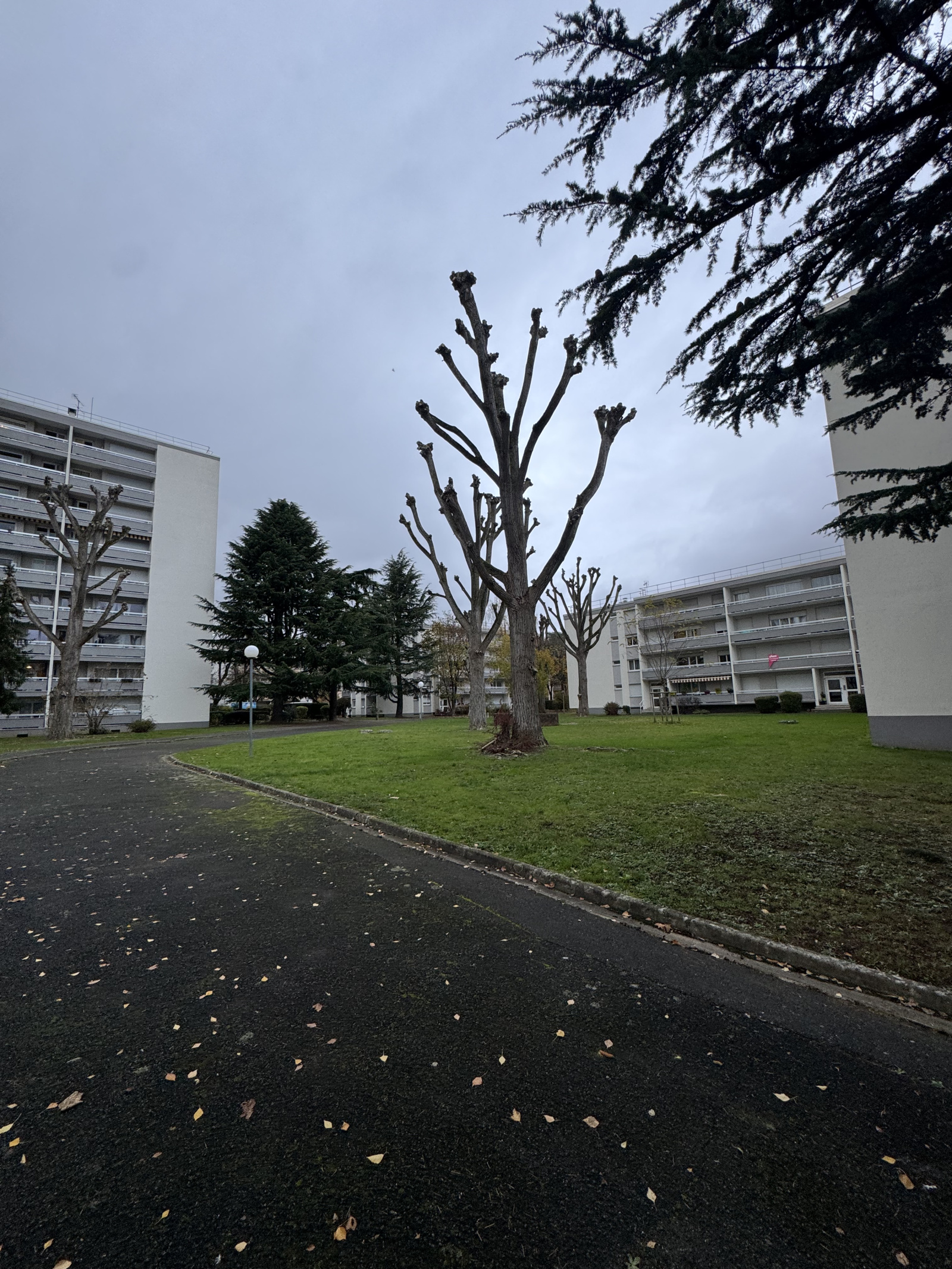 Image_10, Appartement, Évry-Courcouronnes, ref :BSLAP50006013