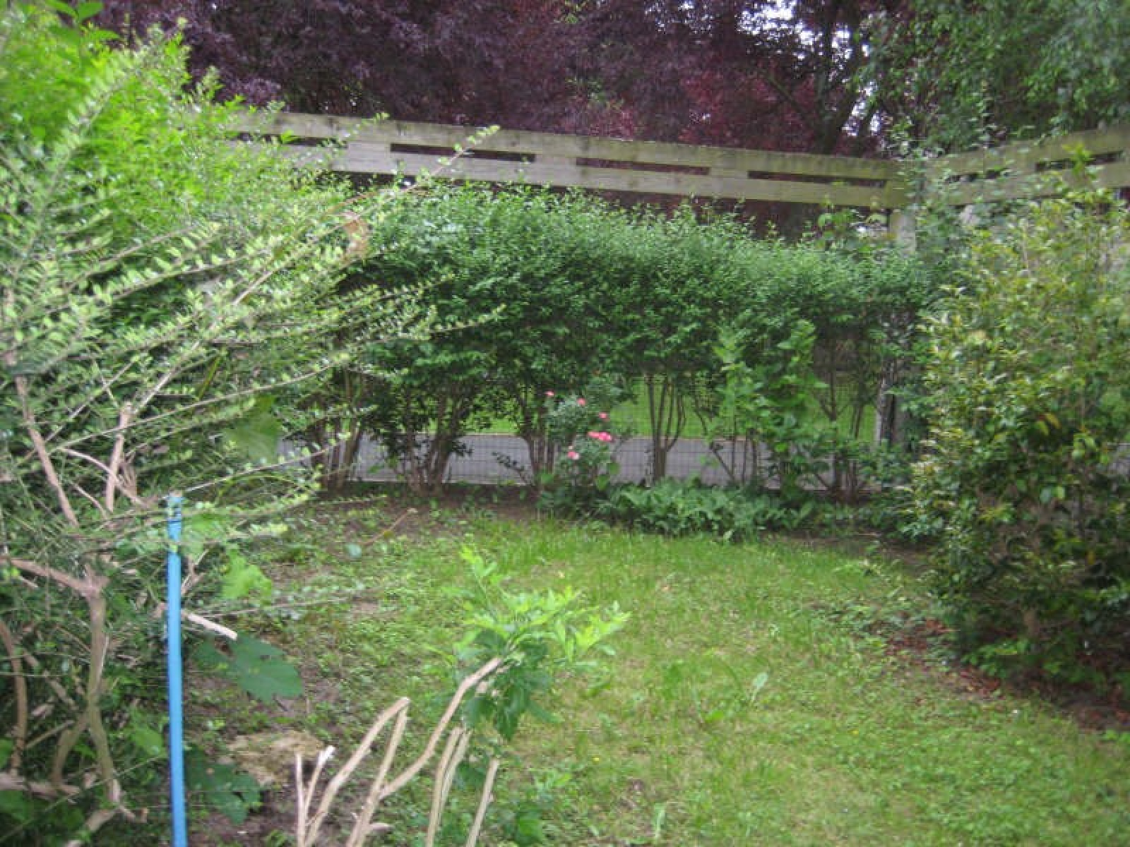 Image_3, Appartement, Évry, ref :00998