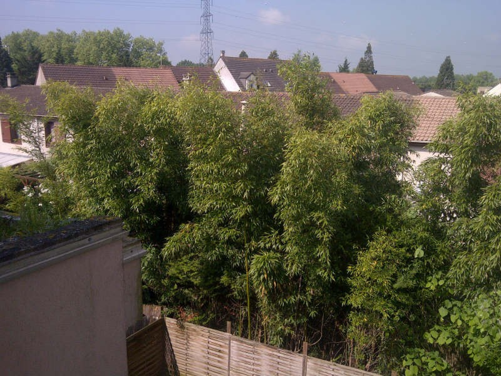 Image_7, Appartement, Courcouronnes, ref :01292