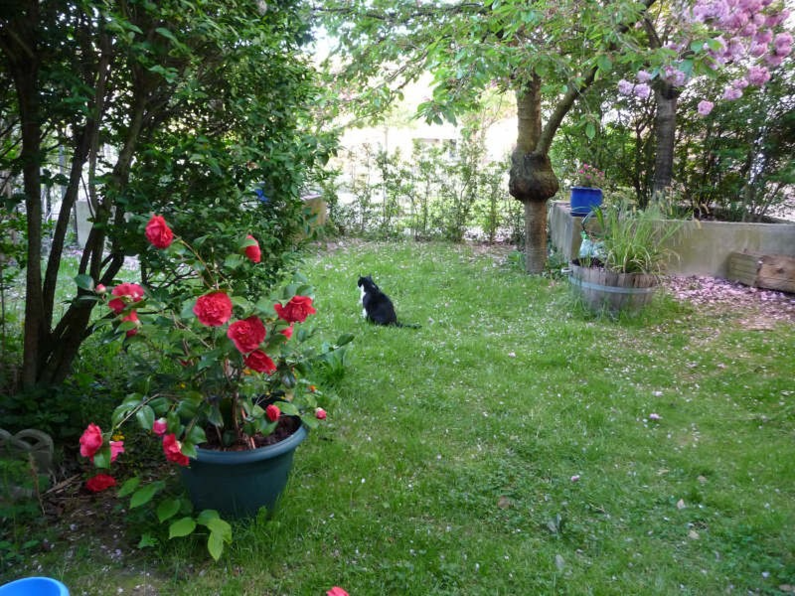 Image_1, Appartement, Courcouronnes, ref :00962