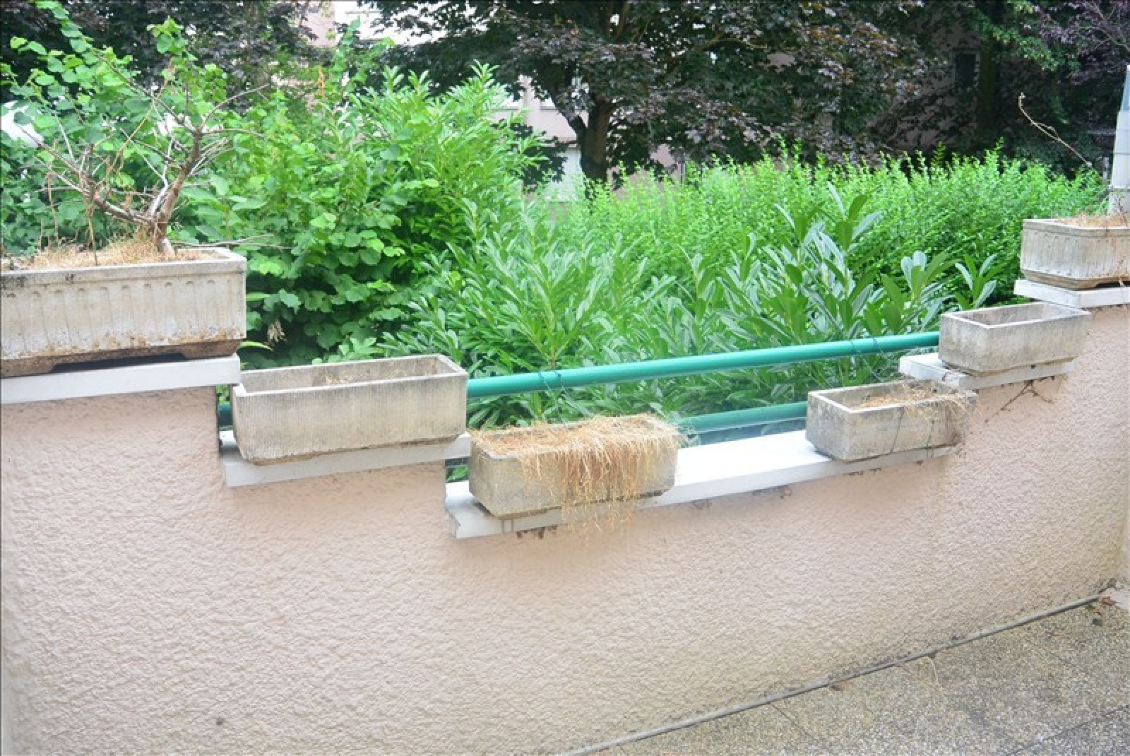 Image_4, Maison, Évry, ref :01636