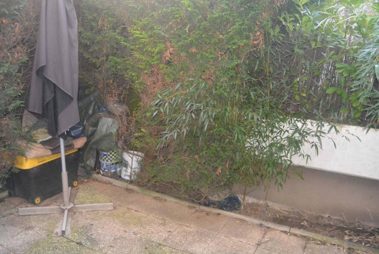 Image_2, Appartement, Évry, ref :01449