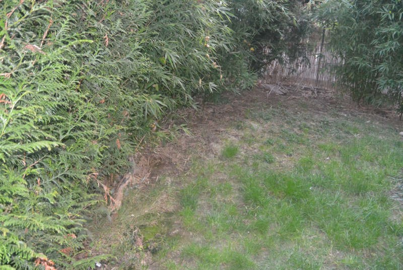 Image_6, Appartement, Évry, ref :01449