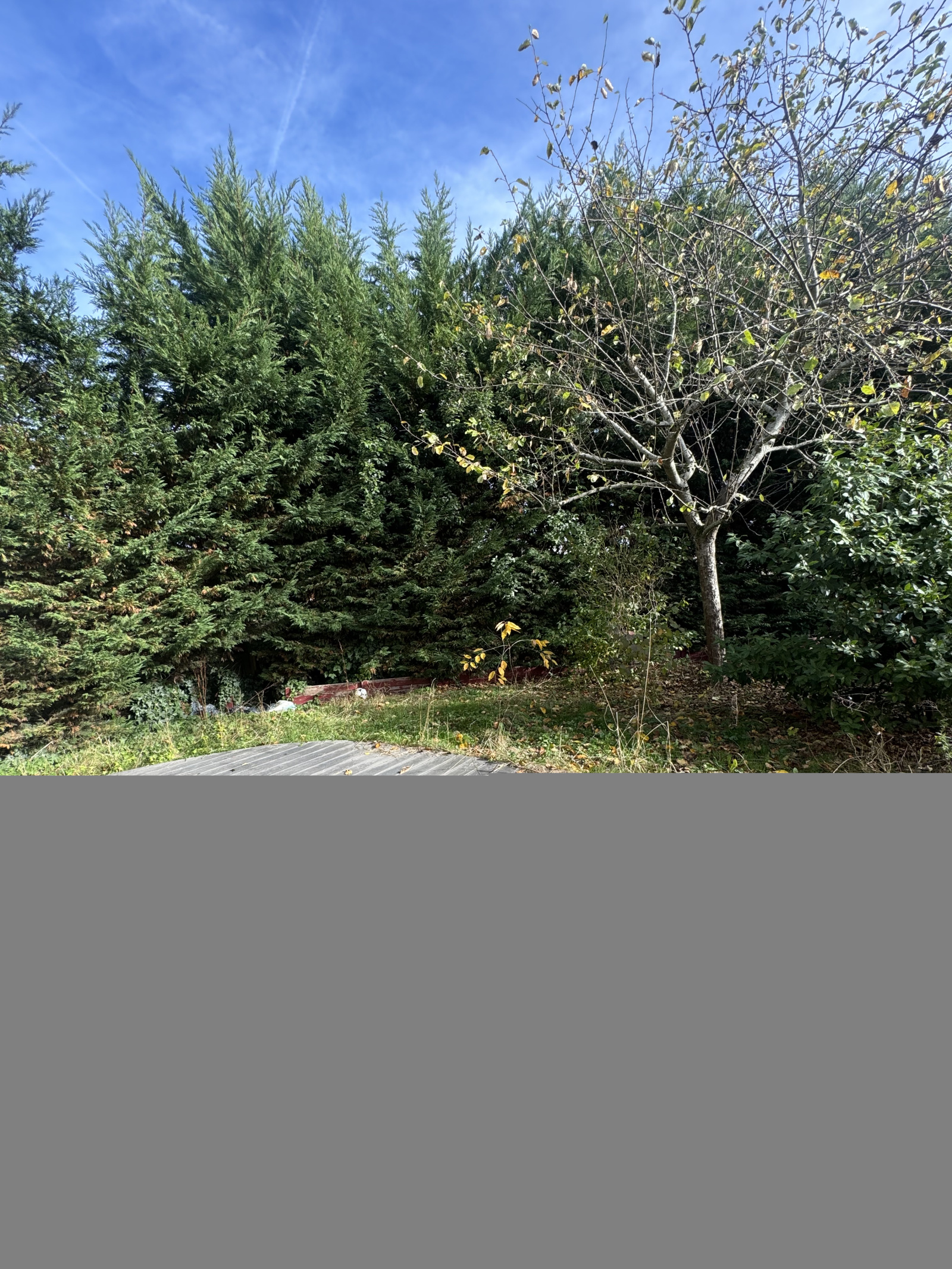 Image_2, Maison, Évry-Courcouronnes, ref :BSLMA50006004