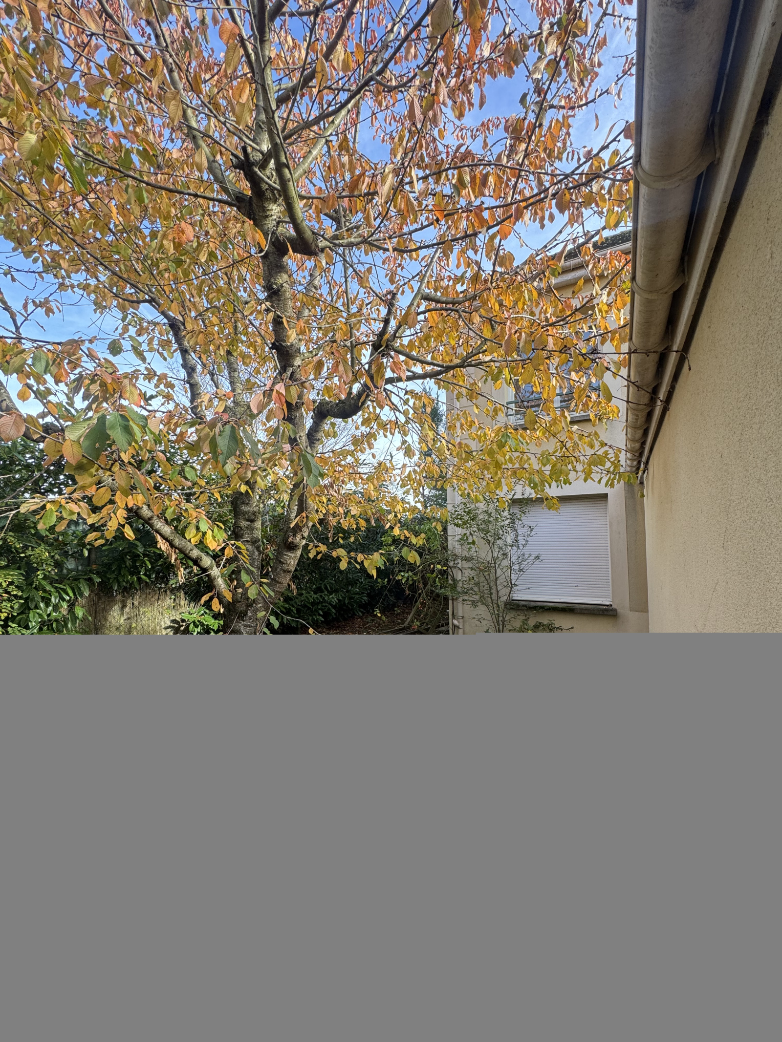 Image_13, Maison, Évry-Courcouronnes, ref :BSLMA50006004